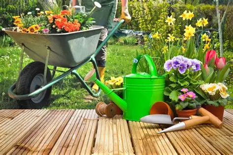 Outdoors & Garden