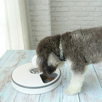 Automatic 6 Day Meal Timed Pet Dog Cat Feeder Food Bowl Auto Holiday Dispenser